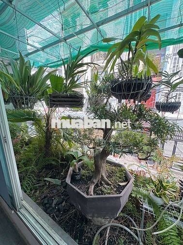 🔥  NHÀ ĐẸP 85m, 3 TẦNG  – HẺM ÔTÔ– PHAN HUY ÍCH – GIÁ NHỈNH 8TỶ 🔥