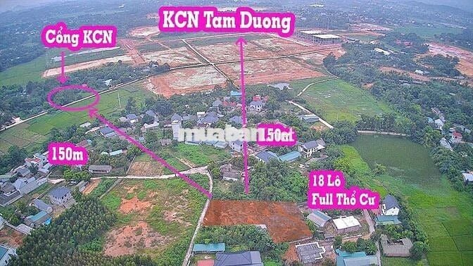 7xxtr Full thổ cư cách KCN Tam Dương 150m giá F0 cân tất cả xung quanh