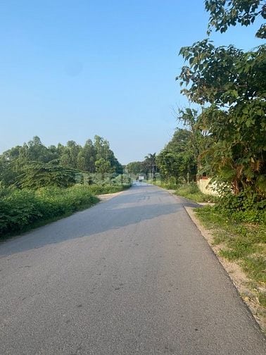 CHÍNH CHỦ BÁN ĐẤT TRANG TRẠI 50 NĂM DIỆN TÍCH 5000M Ở ĐÔNG ANH ,HÀ NỘI