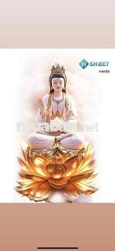 Chính chủ cần bán nhà hẻm 5m thông sát aeon tân phú