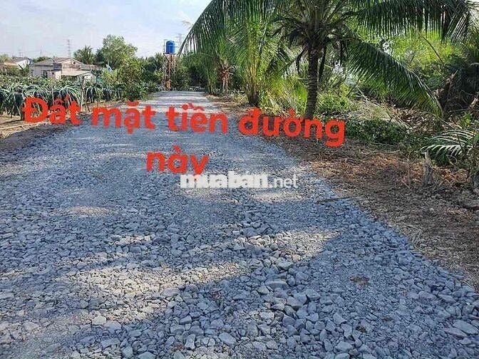 Cần tiền cho con du học, cần bán gấp đất Bến Lức- Long An