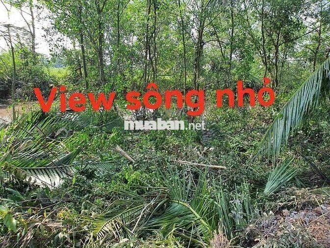 Cần tiền cho con du học, cần bán gấp đất Bến Lức- Long An