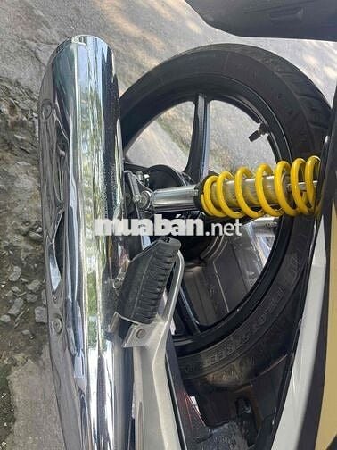 Neo kim 2009 , 30 đầu chính chủ