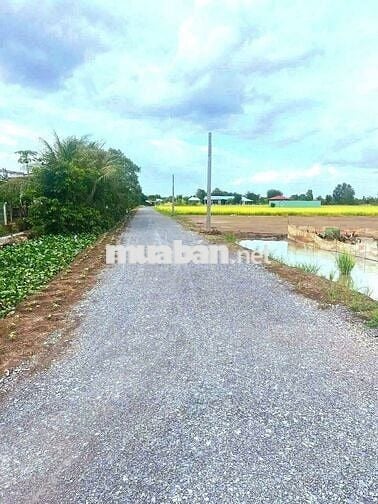 Quá đẹp, 832m2 đất thổ view kênh KDC Mỹ Thạnh, 1.1 tỷ