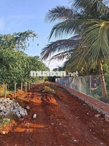 Đất chính chủ QL 52 Bà Rịa, Đã có sổ, 8m mặt tiền