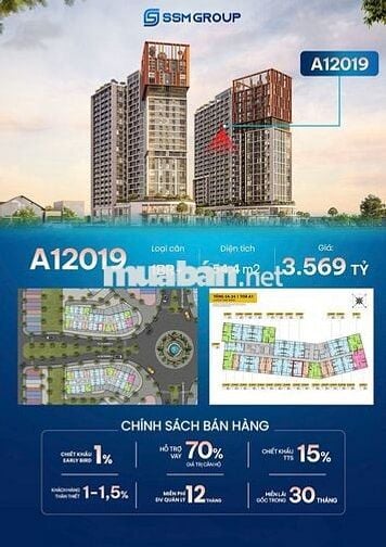 Căn hộ 1PN + cho vợ chồng trẻ trung tâm Hòa Xuân, giá gốc từ CĐT SUN