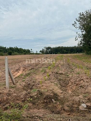 Lô đất mặt tiền 10x70m, mặt tiền DT749B