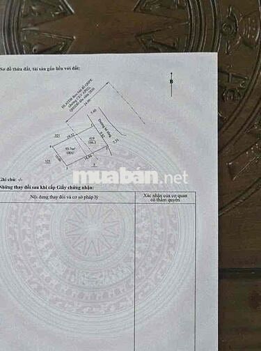 Đất An Phú TPHCM ngang 10m xây được 2 căn, tách 2 lô bán lời lút