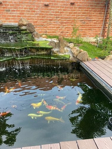 Tôi chính chủ có nhà vườn cần bán