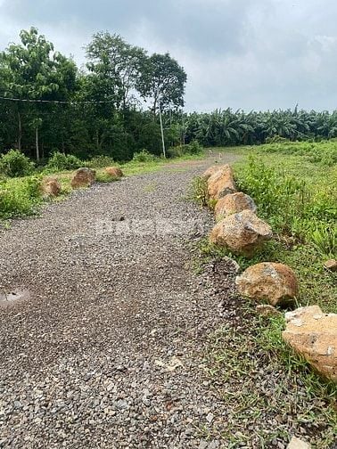 Tôi chính chủ có nhà vườn cần bán