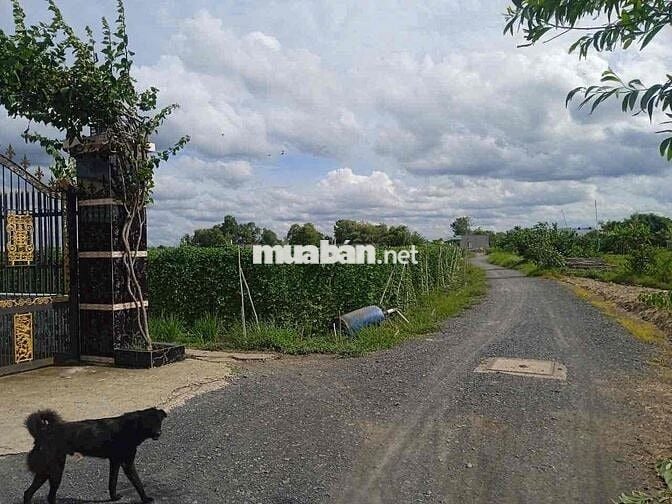 💥 364m full thổ xe hơi tại Long Khê Cần Đước