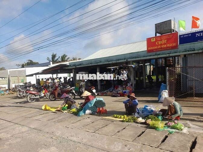 Hàng Vip, 440m2 đất ở đô thị Tân Trụ, Tỉnh lộ 833 chỉ 3.2 tỷ