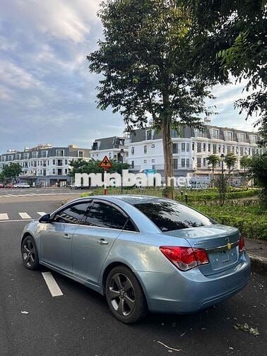 laceti cdx 2009 nhập