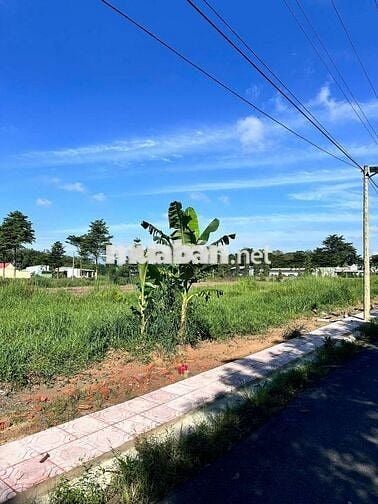 Bán lô đất sổ riêng thổ cư an viễn trảng bon