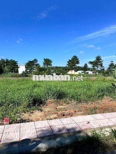 Bán lô đất sổ riêng thổ cư an viễn trảng bon