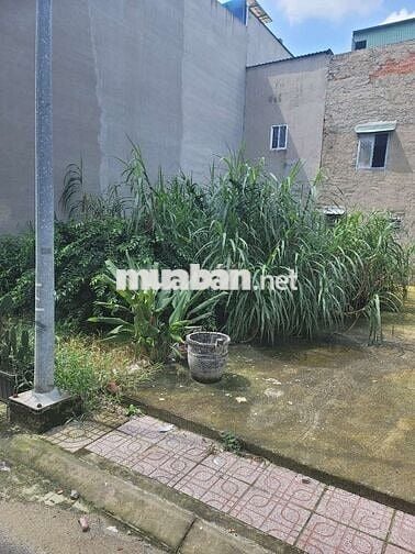 Bán Đất hẻm 7M Lê Trọng Tấn, Bình Hưng Hỏa 4,8×11 khu xây 5 Tầng 4,2Tỷ