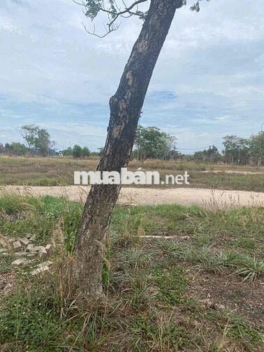 🏡 CHÍNH CHỦ BÁN ĐẤT THỔ CƯ 100% – KHU DÂN CƯ RESCO, XÃ ĐỨC LẬP THƯỢNG,