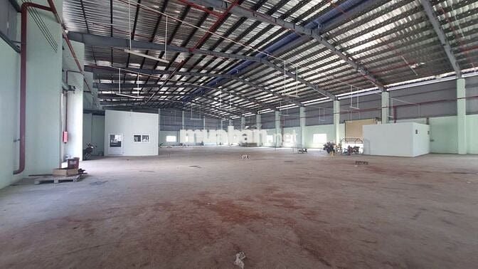 Cho thuê kho xưởng 5.000m2 - 10.000m2 , Bến Lức, Long An, PCCC tự động