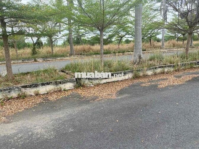 🏡 CHÍNH CHỦ BÁN ĐẤT THỔ CƯ 100% – KHU DÂN CƯ RESCO, XÃ ĐỨC LẬP THƯỢNG,