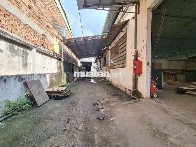 BÁN NHÀ XƯỞNG 5.000M² KCN TÂN THỚI HIỆP, QUẬN 12 –ĐƯỜNG CONTAINER