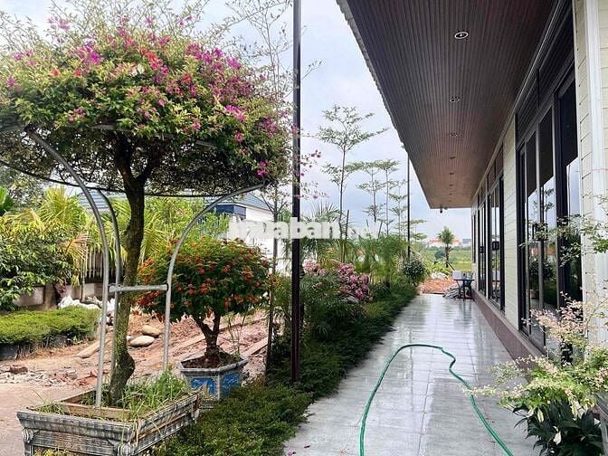 Đất biệt thự Hồng Vân – giá chỉ 10tr/m², khu toàn cán bộ cấp cao