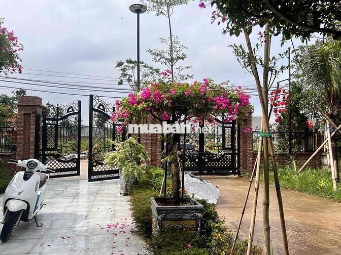 Đất biệt thự Hồng Vân – giá chỉ 10tr/m², khu toàn cán bộ cấp cao