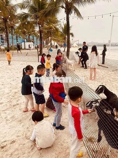 BÁN GẤP CĂN 2N+1VS FULL ĐỒ  GIÁ 3.62 TỶ  TẠI VINHOMES OCEAN PARK