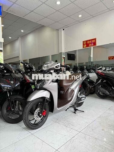 VISION BẢN ĐẶC BIỆT Xám Bạc - Zin Cọp - BS 68