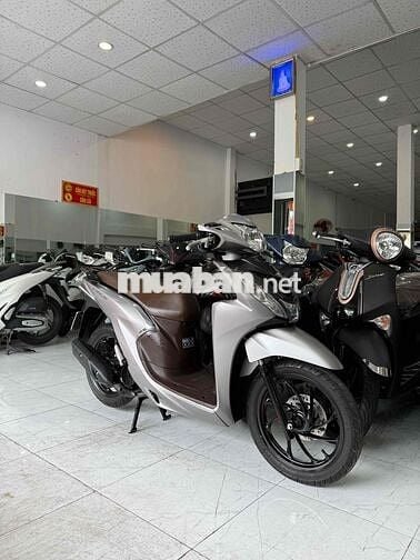 VISION BẢN ĐẶC BIỆT Xám Bạc - Zin Cọp - BS 68