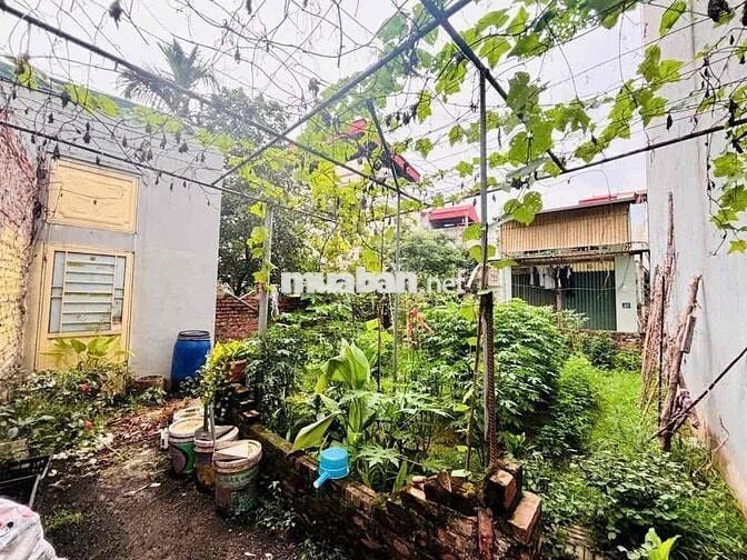 BÁN GẤP ĐẤT PHÚC LỢI – 31M² – MT 3.7M – GIÁ CHỈ 3,9 TỶ