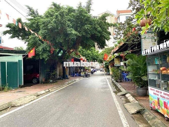 BÁN GẤP ĐẤT PHÚC LỢI – 31M² – MT 3.7M – GIÁ CHỈ 3,9 TỶ