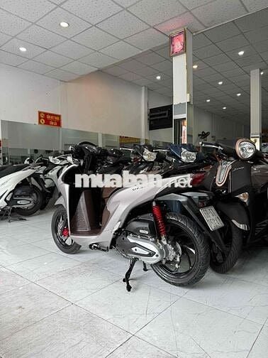 VISION BẢN ĐẶC BIỆT Xám Bạc - Zin Cọp - BS 68