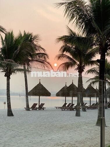 NHANH TAY SỞ HỮU CĂN 1PN+ 47m2 VIEW THOÁNG FULL ĐỒ GIÁ 3 TỶ VHOCP