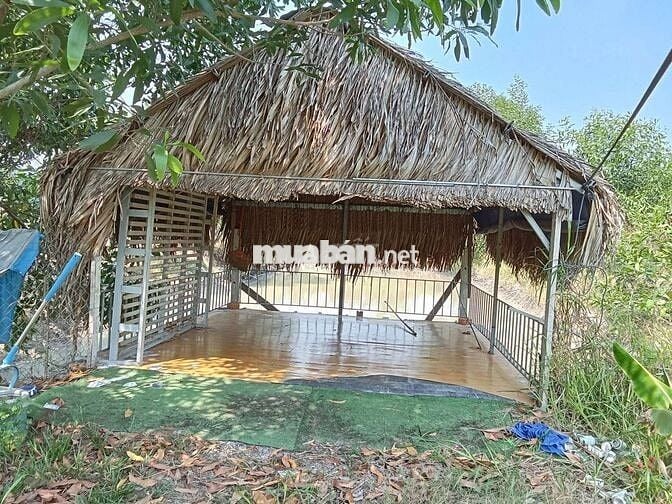 Nhà mái thái chính chủ cần bán gấp