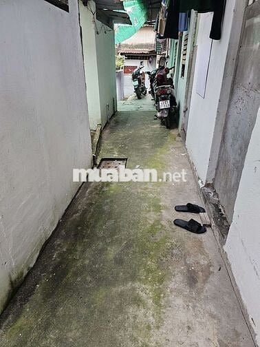 PHÒNG TRỌ 15M2 XANH NHƯ TRÁI TIM EM MỖI SÁNG! 🌿