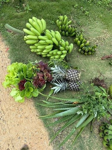  Bán gấp lô đất 1200m² nằm ngay Hồ Trị An giá 850 triệu view đẹp