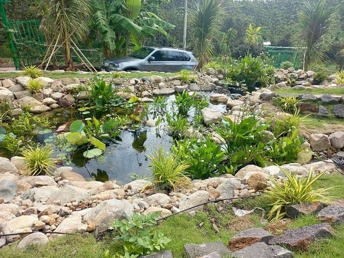  Bán gấp lô đất 1200m² nằm ngay Hồ Trị An giá 850 triệu view đẹp