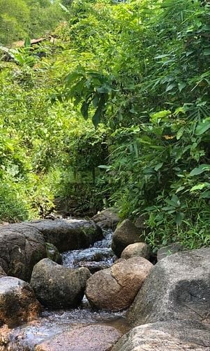  Bán gấp lô đất 1200m² nằm ngay Hồ Trị An giá 850 triệu view đẹp