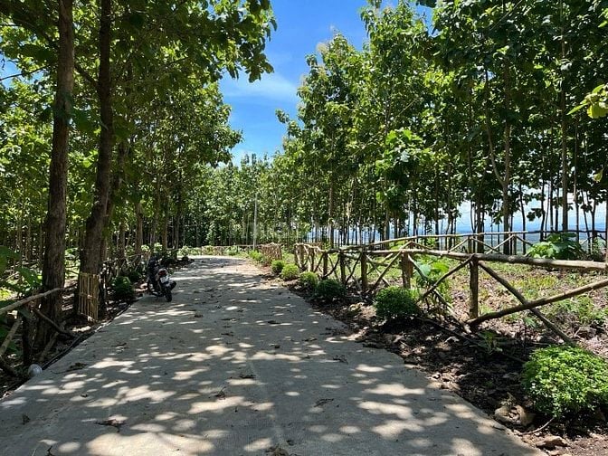  Bán gấp lô đất 1200m² nằm ngay Hồ Trị An giá 850 triệu view đẹp