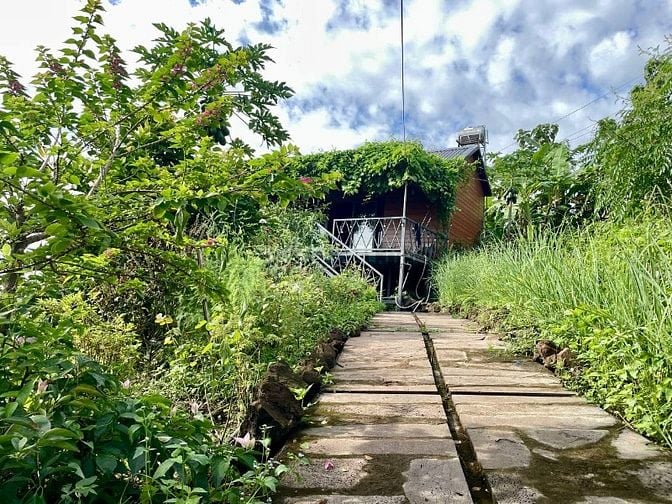  Bán gấp lô đất 1200m² nằm ngay Hồ Trị An giá 850 triệu view đẹp