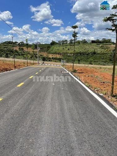 Chỉ 8TR/m² - Sở hữu ngay lô đất nền dự án cạnh ngã 5 DAMB’RI