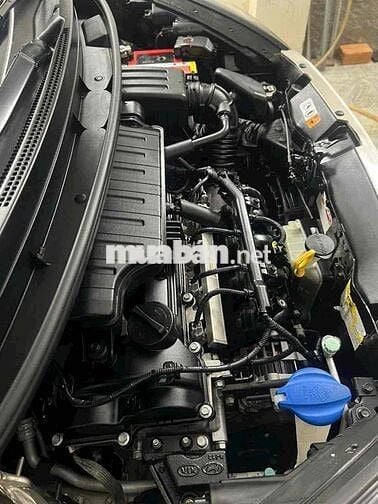 MORRNING DOI 2019  Mt