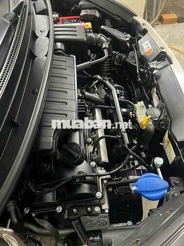 MORRNING DOI 2019  Mt