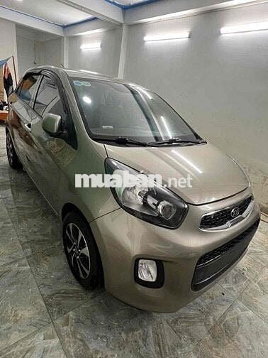 MORRNING DOI 2019  Mt