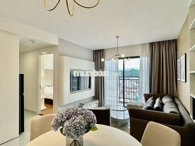 AE Cho thuê Căn Hộ toà nhà D’qua 29 Phan Chu Trinh