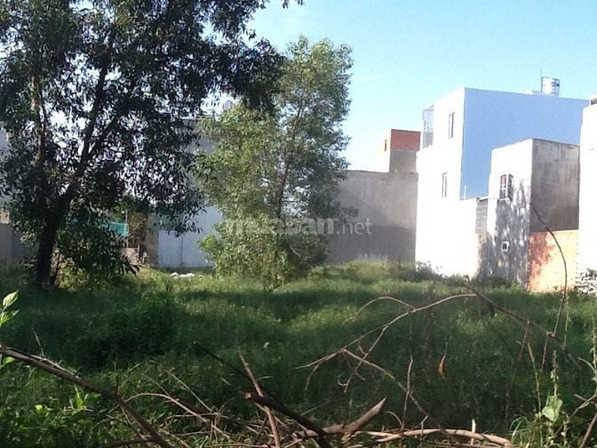 cho thuê đất hẻm 255 Võ Văn Hát thông đường 420 Lã Xuân Oai 