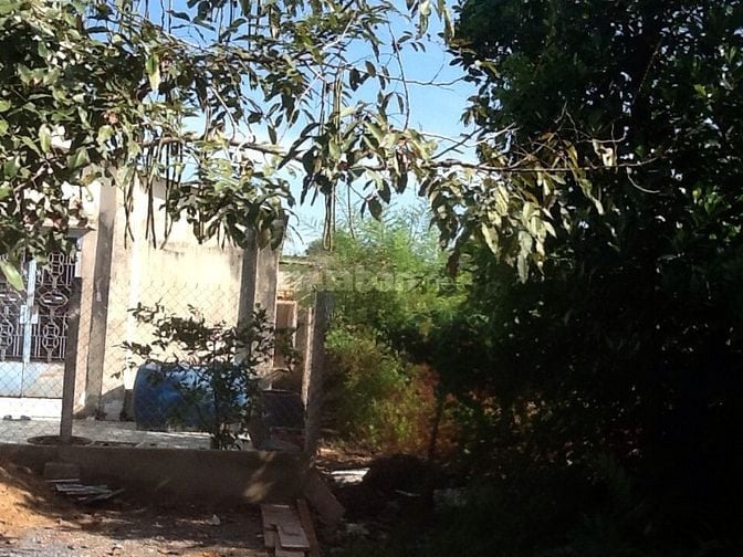 cho thuê đất hẻm 255 Võ Văn Hát thông đường 420 Lã Xuân Oai 