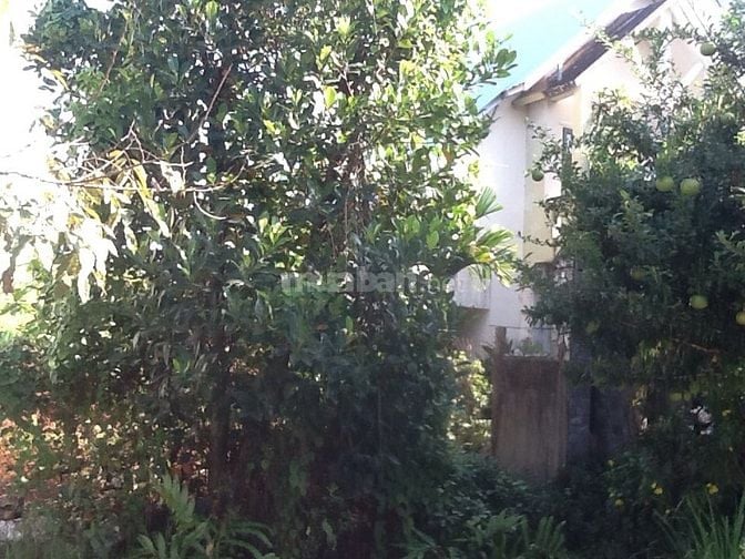 cho thuê đất hẻm 255 Võ Văn Hát thông đường 420 Lã Xuân Oai 