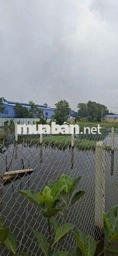 Xưởng cho thuê làm ó keo  ngoài KCN ĐỨC Hòa Long An