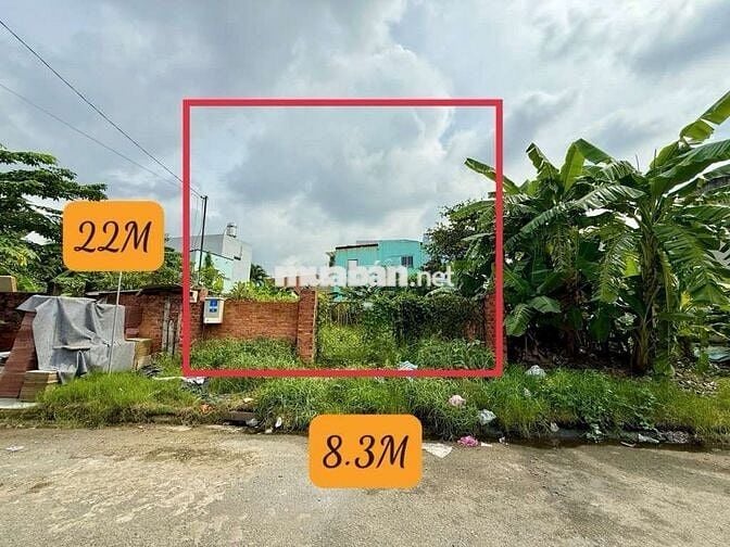 HÓT 🆘45Tr/m2💫KHU PHÂN LÔ - NGANG 8.3X22 174M2- KHU PHÂN LÔ_